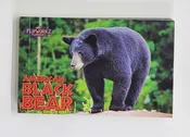 American Black Bear Flipworkz Book — Lassen Association | Peak Your Curiosity
