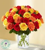 Fall For Roses Trio