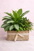 Garden Basket