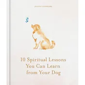 10 Spiritual Lessons You Can Learn From Your Dog