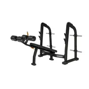 Precor Discovery Series Olympic Decline Bench (DBR0411)