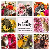 Cat Friendly Vase Arrangement- Designer's Choice