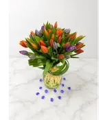 Rush Color Of Tulips