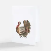 Turkey Note card