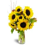 Autumn Blooms Bouquet™