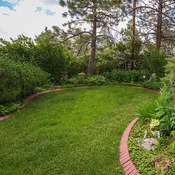 Colorado Grass Seed Mix