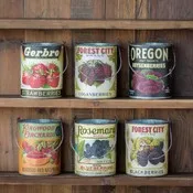ASSORTED BERRY CANS, 6 STYLES TO CHOOSE FROM