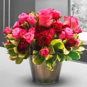 Bucket of Love