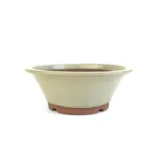 10.5" Round Wide-Lipped Bonsai Pot - Cream