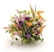 Urania — My Fair Lady's Flowers
