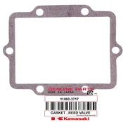 11060-3717 GASKET REED VALVE