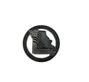 Basic Training Coin