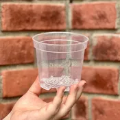 4 Inch Clear Nursery Pots W/ Drainage Holes
