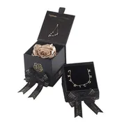 Capricorn Astor Box & Necklace Bundle