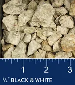 3/4″ Black & White