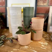 3.5" Earth Tone Mini Planters | Muted Coral