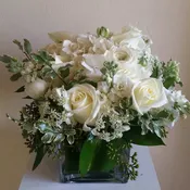 just white