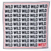 Carson Wild West Print Scarf 21x21 Ink Alloy