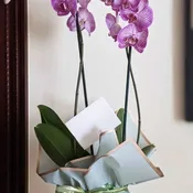 Purple or White Wrapped Orchid
