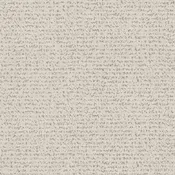 Anderson Tuftex Carpet Tangent Canvas 00102_ZZ328