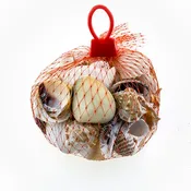 ASSORTED SHELL BAG