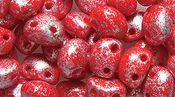 30CA141-SL: CZ Candy Oval Two Hole Red With Silver Spots 4x6mm 500PC