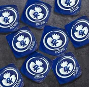 500 Game Kastle 2026 d6 Dice | LIMITED - WHILE SUPPLIES LAST