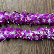 leis #29