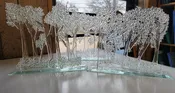 Fairy Forest