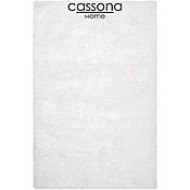 AREA RUG 15