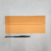#10 Orange Fizz Envelopes 25/Package