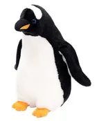 11 In Gentoo Penguin