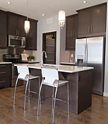 Appliance Repairs and Maintenance