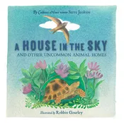 A House in the Sky...