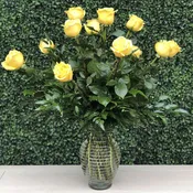 CLASSIC YELLOW ROSES