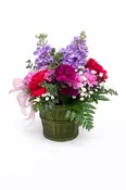 Rosy Ruffles Carnation Basket — Shop Now