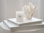 Isla Luminosa Petite Candle 4 oz