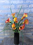 Elegant Calla Lilies