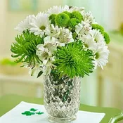 Green with Envy