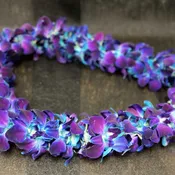 GRADUATION LEIS DOUBLE .1