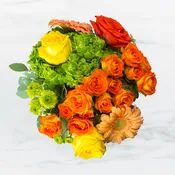 New Beginnings by BloomNation™