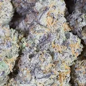 Lava Cake | 3.5 Grams | Hybrid