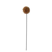 ALLIUM STEM