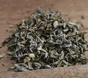 Lavender Mint — White Pine and Petals  Flowers, Weddings, Plants and Gifts Roscommon Higgins Lake