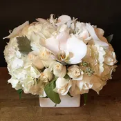 Classic White