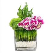 AF 300-11 Modern Orchid & Green Dianthus Floral Arrangement