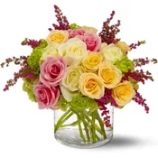Enchanted Roses - TFWEB187