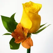Boutonniere Autumn