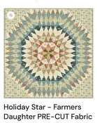 Holiday Star - Farmers Daughter Fabric Kit! — Red Barn Quilting