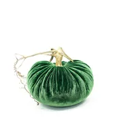 Velvet Pumpkin Emerald Green